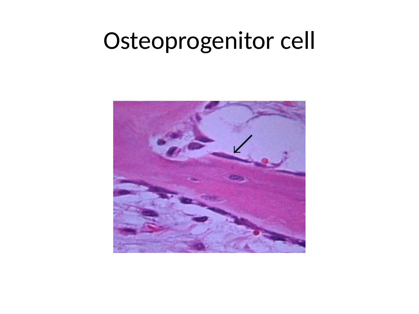 slide 18