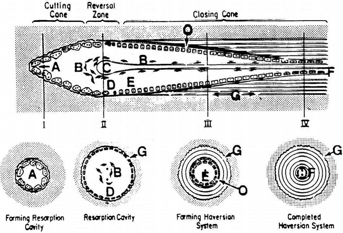 slide 23