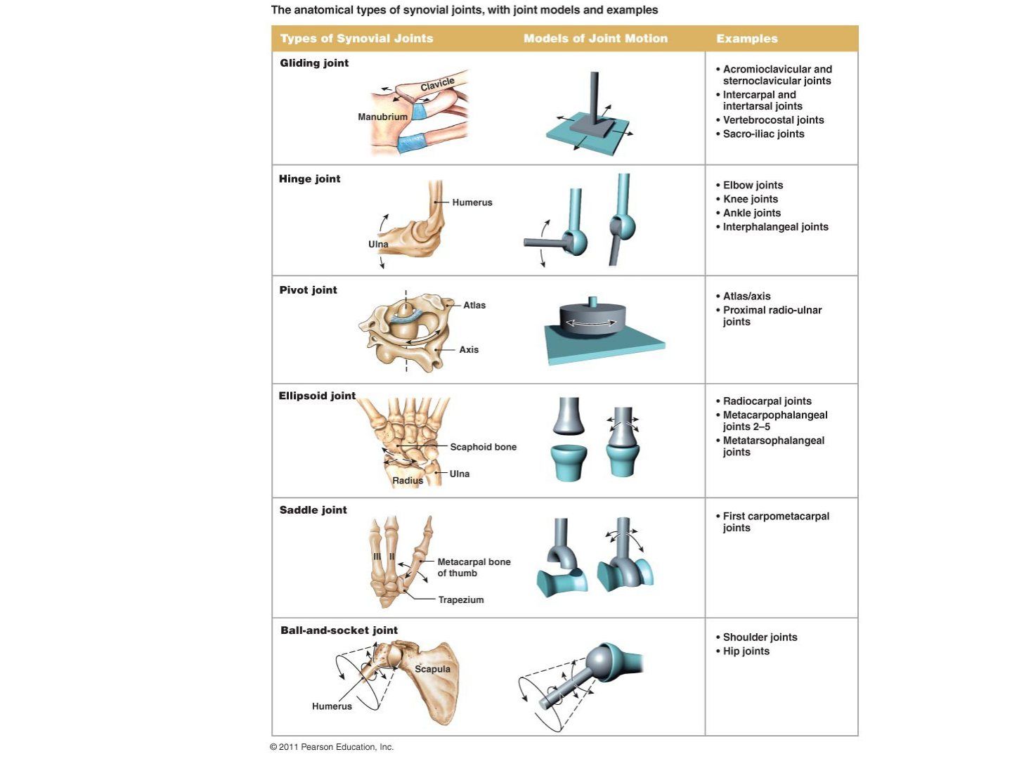 slide 29