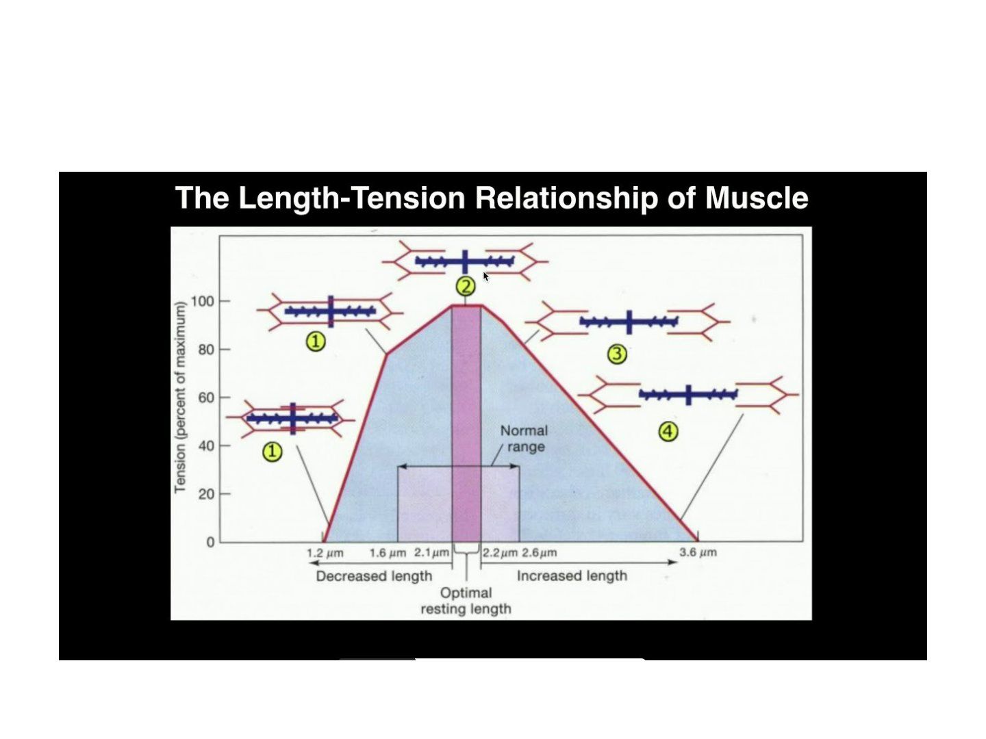 slide 45