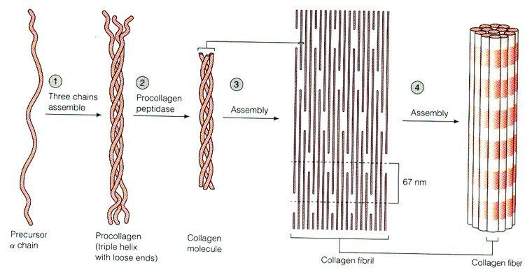 slide 46