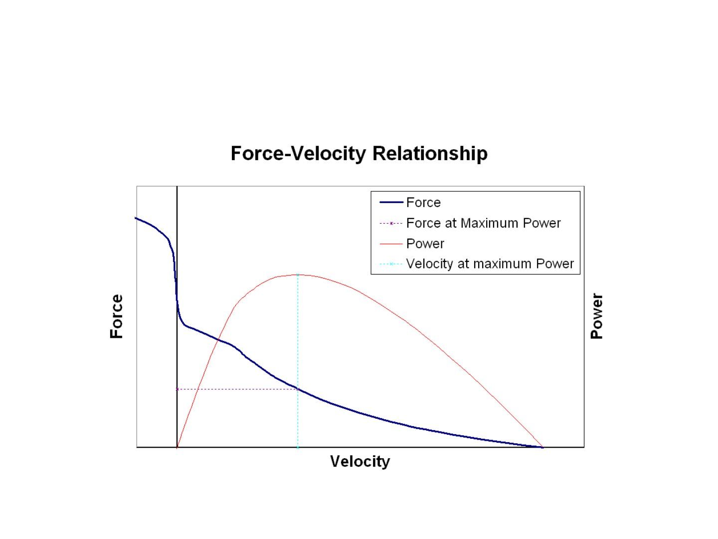 slide 53
