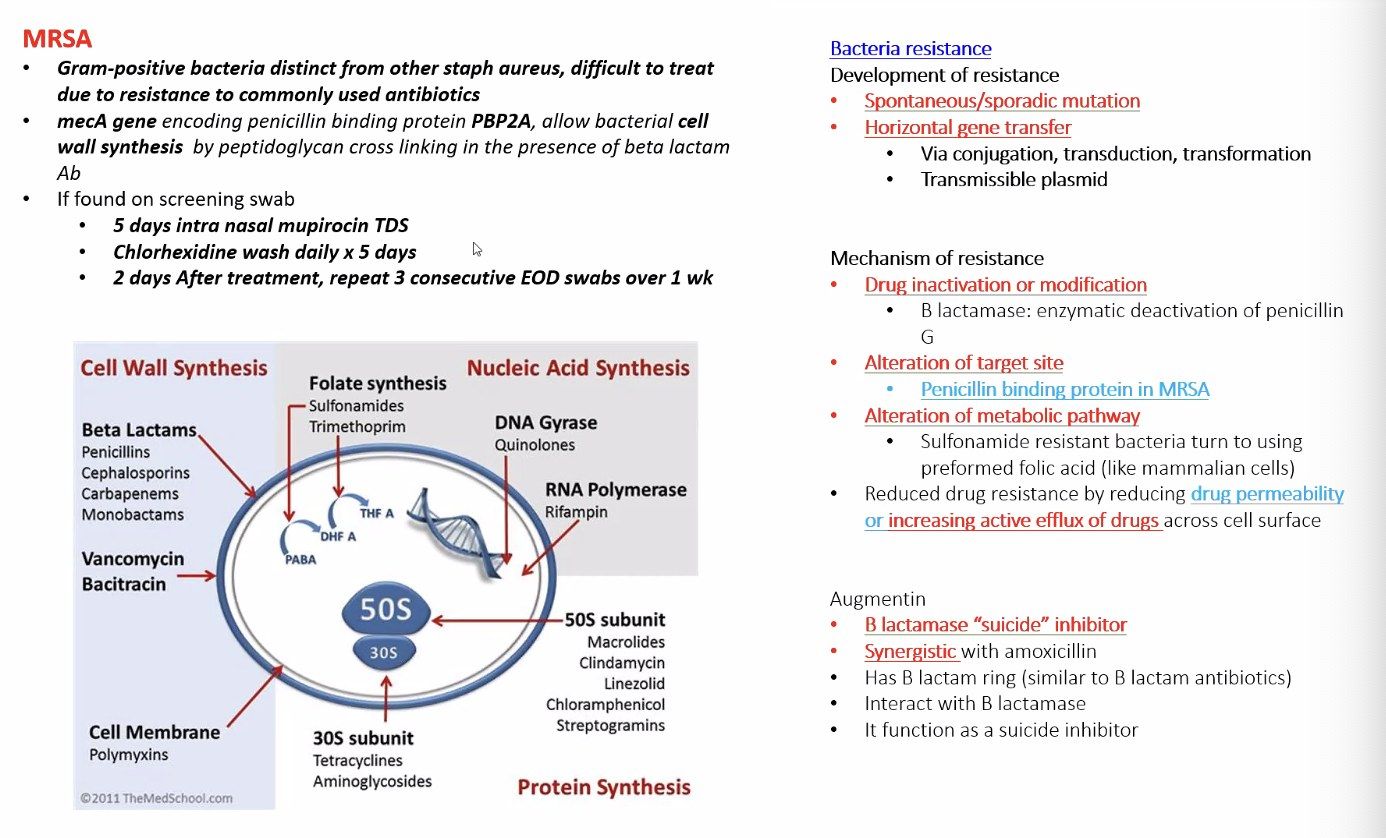 slide 61