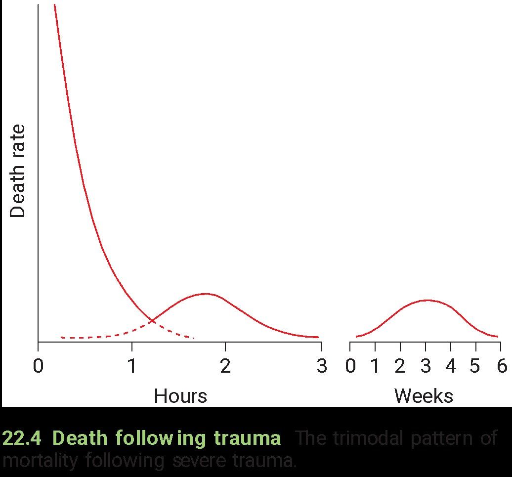slide 396