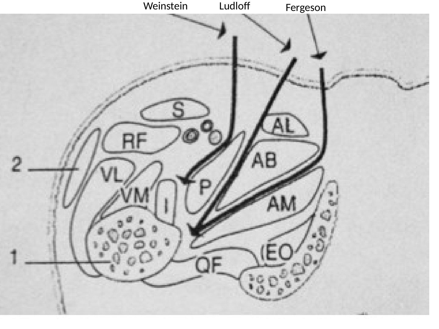 slide 504