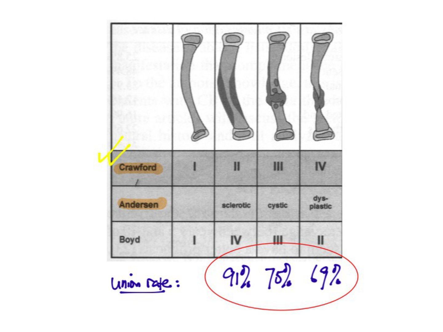 slide 519