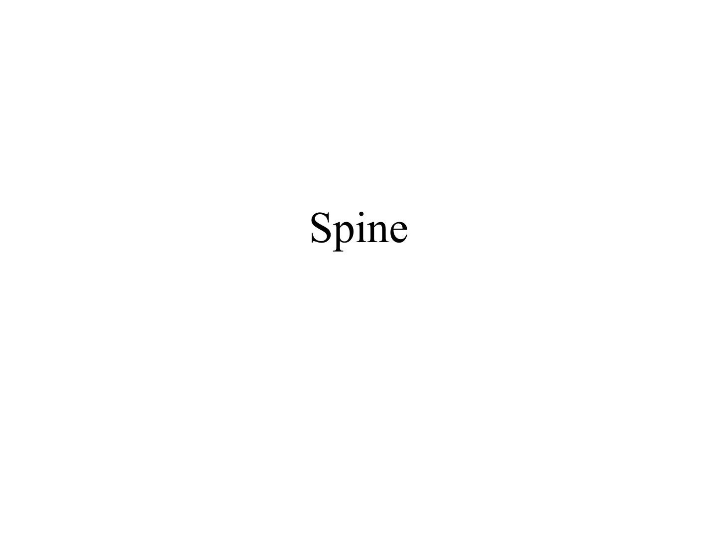 slide 569