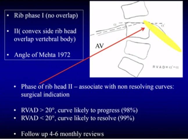 slide 578