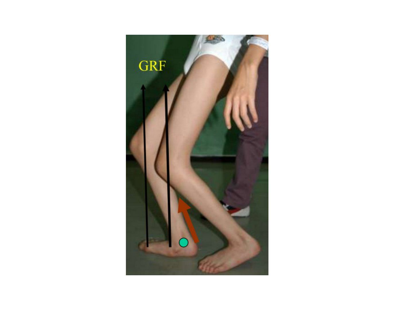 slide 592